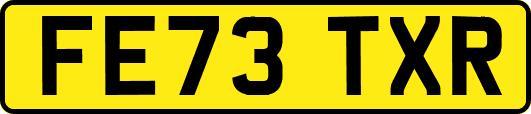 FE73TXR