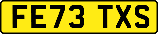 FE73TXS