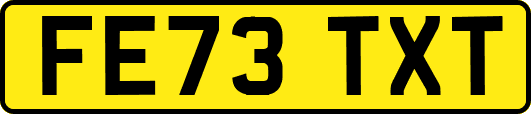 FE73TXT