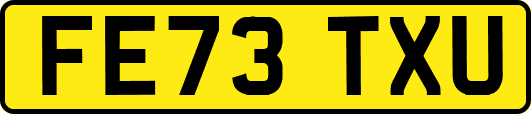 FE73TXU