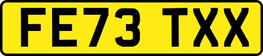 FE73TXX