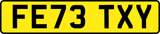 FE73TXY