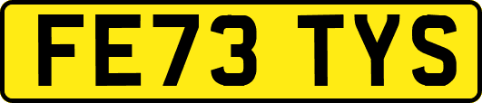 FE73TYS