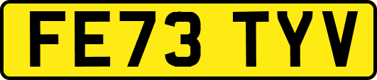 FE73TYV