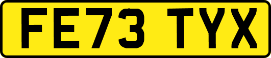 FE73TYX