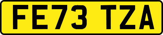 FE73TZA