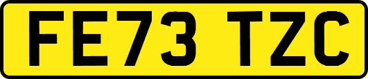 FE73TZC