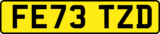 FE73TZD