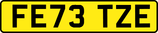 FE73TZE