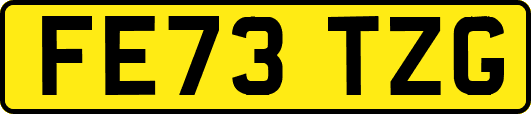 FE73TZG