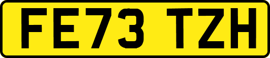 FE73TZH