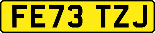 FE73TZJ