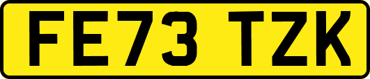 FE73TZK