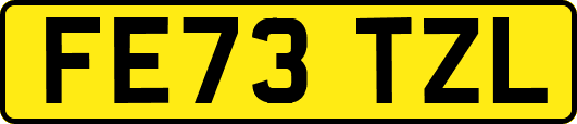 FE73TZL