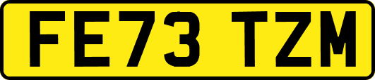 FE73TZM