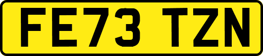 FE73TZN