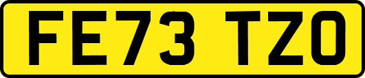 FE73TZO