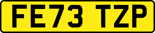 FE73TZP