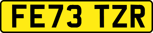 FE73TZR