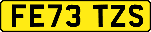 FE73TZS