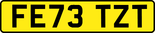 FE73TZT