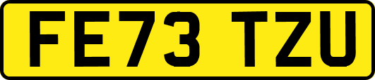 FE73TZU
