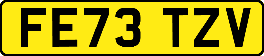 FE73TZV