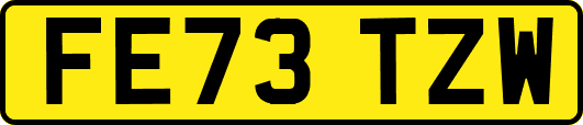 FE73TZW