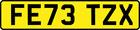 FE73TZX