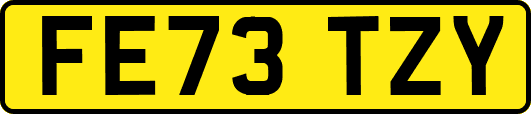 FE73TZY