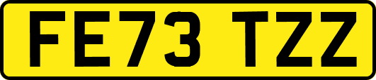FE73TZZ