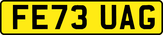 FE73UAG