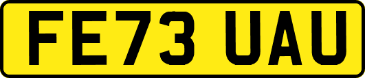 FE73UAU