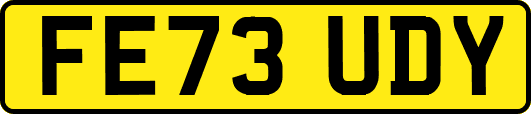 FE73UDY