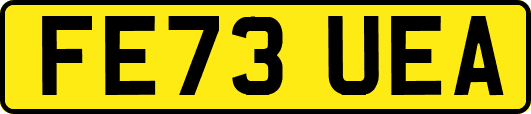 FE73UEA