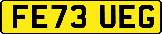 FE73UEG
