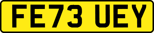 FE73UEY