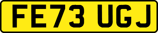 FE73UGJ