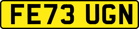FE73UGN