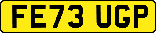 FE73UGP