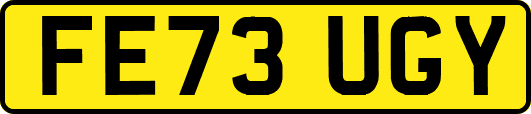 FE73UGY