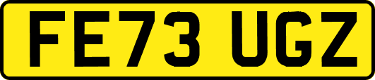 FE73UGZ
