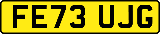 FE73UJG