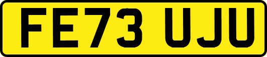 FE73UJU