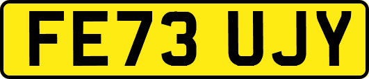 FE73UJY