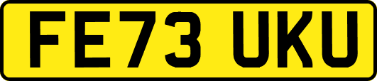 FE73UKU