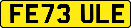 FE73ULE