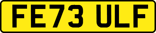FE73ULF