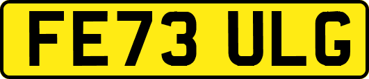FE73ULG