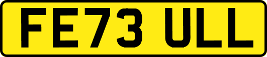 FE73ULL